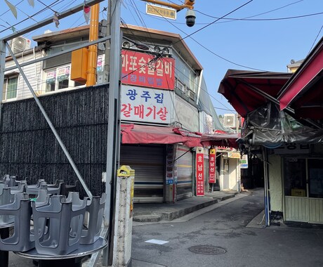 旅行先で撮影した画像を提供します イメージ1