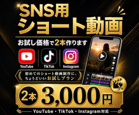SNS用のショート動画をお試し価格で2本作ります 初めてのショート動画制作に、ちょうどいいお試しプラン イメージ1