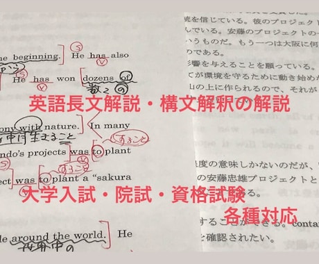 各種英語長文問題！解説します 大学入試問題・院試・資格試験など幅広く解説します！ イメージ1