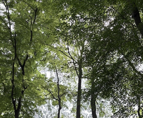 あなたの心が真ん中になれるお手伝いをします 書いて頭の中を整理しませんか？あなたの中の答え、みつかる。 イメージ2