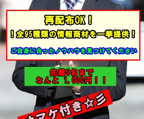 再配布OK！全95種類のノウハウを伝授します 95種類からあなたに合うノウハウを探し実践してみてください イメージ1