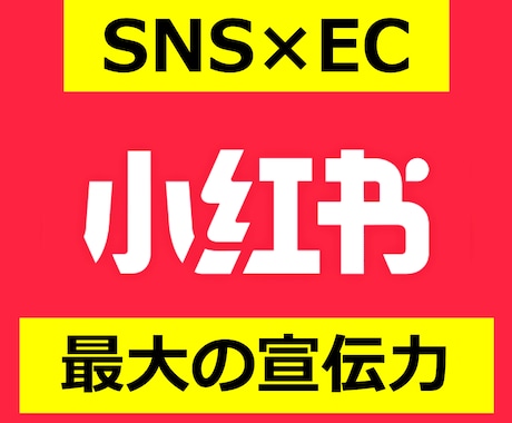 中国SNSで商品宣伝＆販売をサポートします 14億人の購買力に情報発散しませんか？ イメージ2
