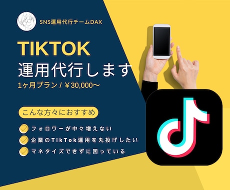 TikTok【1ヶ月】運用代行します SNS実績あるチームが対応！2023年度の販売実績200件超 イメージ1