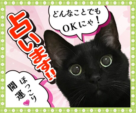 ほっこり開運占い☆あなたの気になること占います 算命学とオラクルカード・ルノルマンカードで鑑定いたします イメージ1
