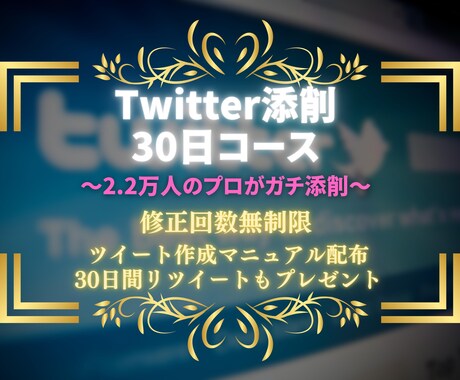 アナタのツイートを30日間添削をします 【フォロワーを増やして影響力を持ちたい方は必見です】 イメージ1
