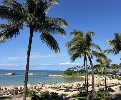 HAWAII旅行の大満足プラン作成します 毎年1回以上、ハワイに行っているので最新情報をお伝えします イメージ1