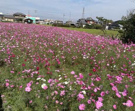 相談なんでも聞きます。秘密厳守します 20代2児の母です。愚痴や子育て恋愛などなんでもお話伺います イメージ1
