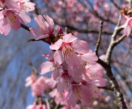 あなたに向いているお仕事！生年月日でわかります 四柱推命という占術で、あなたの才能による活躍を後押しします！ イメージ2