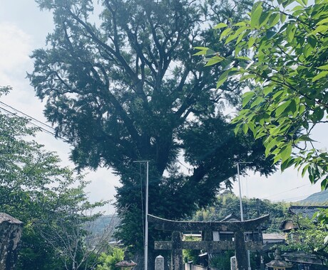 人間関係、家族、友人でお悩みの方占います 職場の人間関係、学校の人間関係、両親や義理の両親、など イメージ1