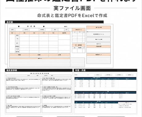 四柱推命自動鑑定ツールを提供します 命式表と鑑定書PDFをExcelで作成 イメージ1