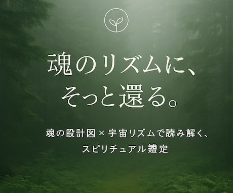 魂の設計図×宇宙リズム鑑定【先着特典あり】ます “本当のわたし”に還るスピリチュアル占い　（メール鑑定） イメージ2