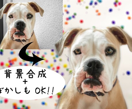 3体/500円！写真の背景ぼかし+レタッチ承ります スマホ写真も一眼レフ風に変身！主役をもっと主役にしよう！ イメージ2