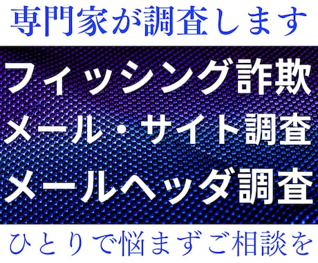 フィッシング詐欺メール・サイトの調査判定をします 不審なメールが届いたけど本物か判断できないかたをサポート イメージ1