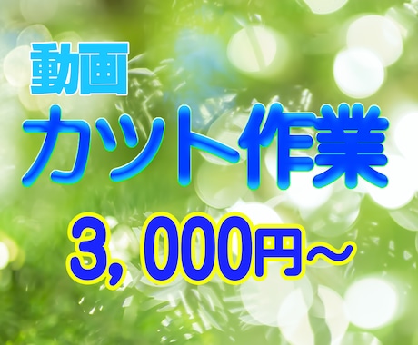 超シンプル！カット作業のみ承ります 無音、フィラーワード、不要な部分を細かくカット！！ イメージ1
