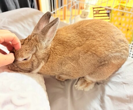 どんなお悩みでもお聞きいたします ISFJという優しい性格を持ちながら、親身にお聞き致します！ イメージ1