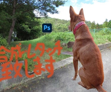 写真合成、編集、加工いたします フォトショップを使用して写真を加工します イメージ1