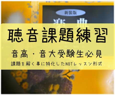 聴音課題の練習をお手伝いします １人では難しい、課題を解くことに特化！音高・音大受験生必見！ イメージ1