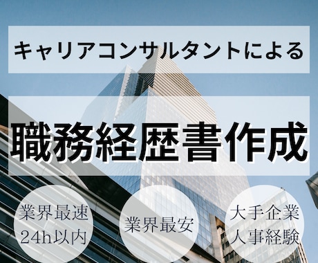 大手企業の人事が職務経歴書をゼロから作成します あなたの情報を元に現役人事が職務経歴書を作ります！ イメージ1