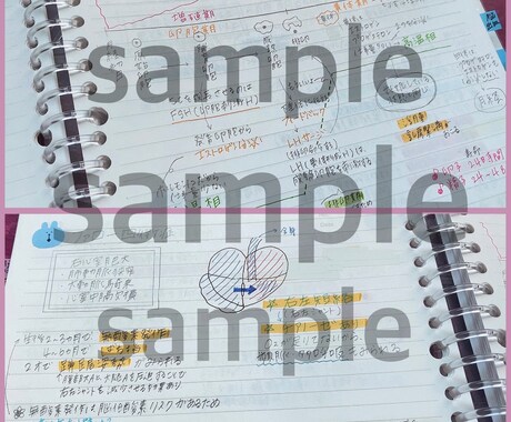 私が勉強した資料を販売致します エビデンスやイラスト付き☻☺︎分かりやすい！点数アップ！ イメージ2