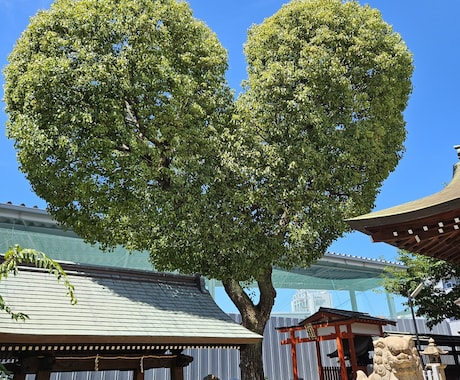 お試し用霊視共鳴伝授☆質問は多岐に渡り全体視ます ひとまずお試しで今の自分を知り課題を可視化する！お試し版 イメージ1