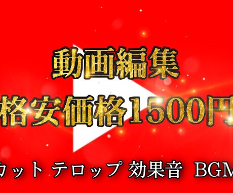 フル編集を格安で提供します イメージ1