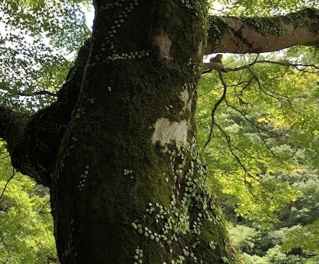 どんなお話でも、お聞きします 誰かに話してすっきりしましょう！ イメージ1