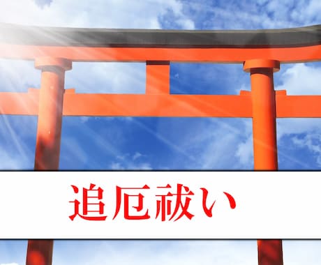 厄祓い後も厄が続く方の追厄払いします 神主が厄が落ちていない方を強力なご祈祷で祓います! イメージ1