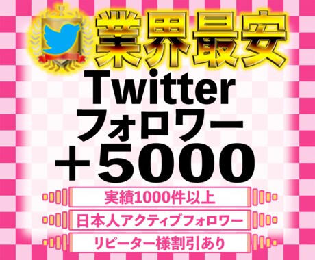 Twitterフォロワーを5000人増やします 実績1000件以上！日本人のアクティブフォロワー増加！