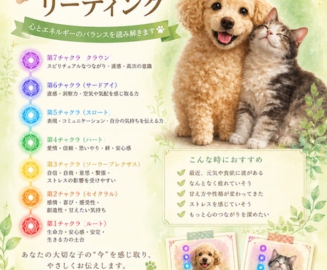 うちの子 チャクラリーディングを画像にします 言葉で伝えられない、大切な家族の心とエネルギーを健康診断 イメージ2