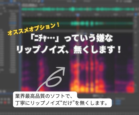 最短即日！ポッドキャストの編集制作をお手伝いします 親切丁寧に、あなたのポッドキャストを格安で作ります イメージ2
