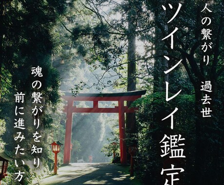 ツインレイ鑑定 霊視・過去世　魂の繋がりを視ます お二人の魂を視させていただき、忖度なしで鑑定します。 イメージ1