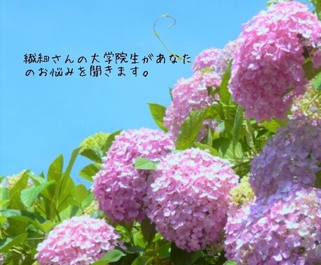 大学院生がどんなお悩みでもききます 悩みを抱えている学生へ。繊細さんの大学院生が何でも聞きます。 イメージ1