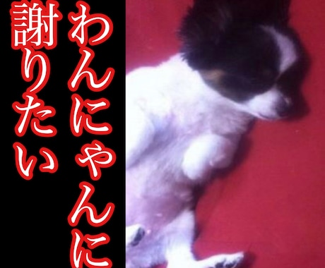わんにゃんに謝りたい　聞きたい事伝えたい事承ります 保護犬猫と暮らす霊視占い師が、わんにゃんと魂のセッション イメージ1