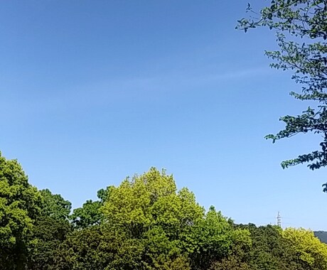 あなたの相談を聞きます 今悩んでる人愚痴とか聞いて欲しい人のための相談所です。 イメージ2