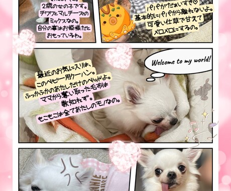 大切な画像を1枚の思い出に可愛くまとめます 大切なペットの画像なども可愛く仕上げます。 イメージ1