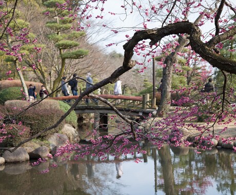 茨城県の観光地情報をリアルタイムでお届けします 観光地の開花状態・紅葉状態・お店・などリアルタイムでお知らせ イメージ2