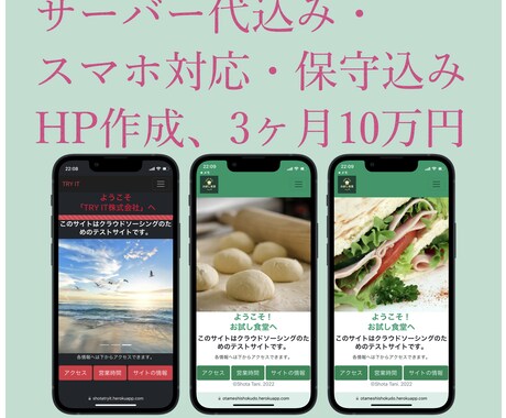 サーバー代込みでHPを作成します 暇な大学生が精一杯作成させていただきます！！(python) イメージ1