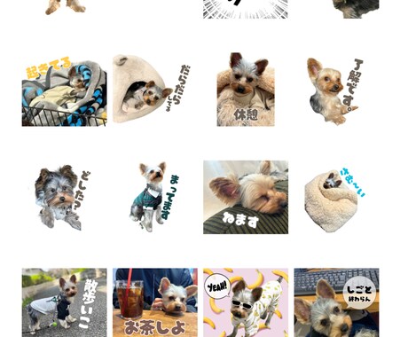 自慢のうちの子（ペット）のLINEスタンプ作ります 特訓期間のため２４個3,000円の１メニューです！ イメージ2