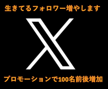 Xのアクティブ日本人フォロワー約100名増やします 活発な日本人フォロワーを格安で約100名！ イメージ2