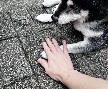 お話を聞きます 話したいことがある方へ、気軽にお電話ください イメージ2