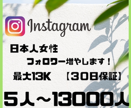 Instagram日本人女性フォロワー　増やします インスタグラム複垢振り分け可能！ イメージ1