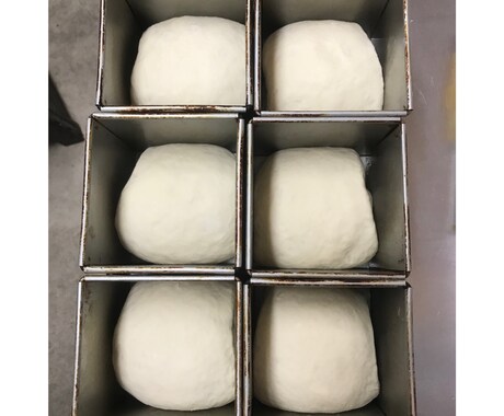 パン作り中級からプロ向けのレシピ教えます もちもち、ふんわり食パンのレシピです。 イメージ2