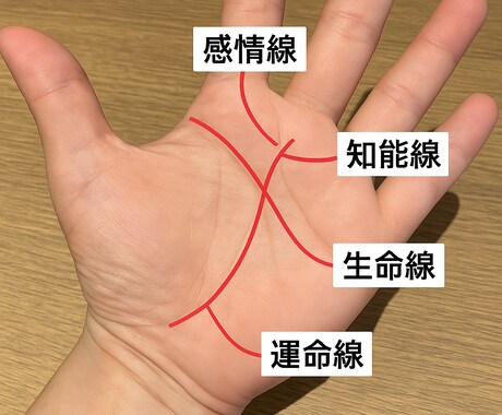 優しくあなたの手相読み解きます 看護師が手のひらから読み解く運命と才能✨ イメージ1