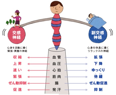 自律神経を整えることの重要性教えます 自律神経を整えるとあらゆるパフォーマンスが上がります。 イメージ1
