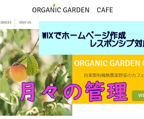 既存のWIXホームページの月々の管理致します 面倒な毎月のイベントやテキスト・画像の管理致します！ イメージ1