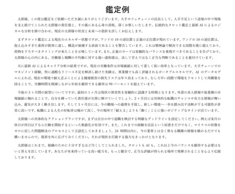 仕事運占い：タロット×最新AIで占います 【令和の新体験】24時間以内！あなたの仕事運を占います！ イメージ2