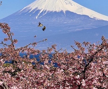 姓名判断します 内側のなりたい自分と、外側から見えている自分をお伝えします。 イメージ1