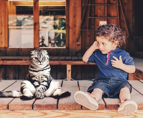 ペットの心の声をカードで紐解き、癒しの光を届けます 「あの子は今何を考えているの？」「本当はどう思っているの？」 イメージ2