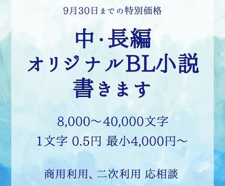 8,000〜40,000文字の中・長編小説書きます あなたの考えたキャラ設定、お話をBL小説の形にします イメージ1