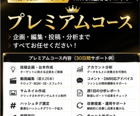 TikTok運用を丸ごと代行します 集客につながるTikTok運用を徹底サポート イメージ1
